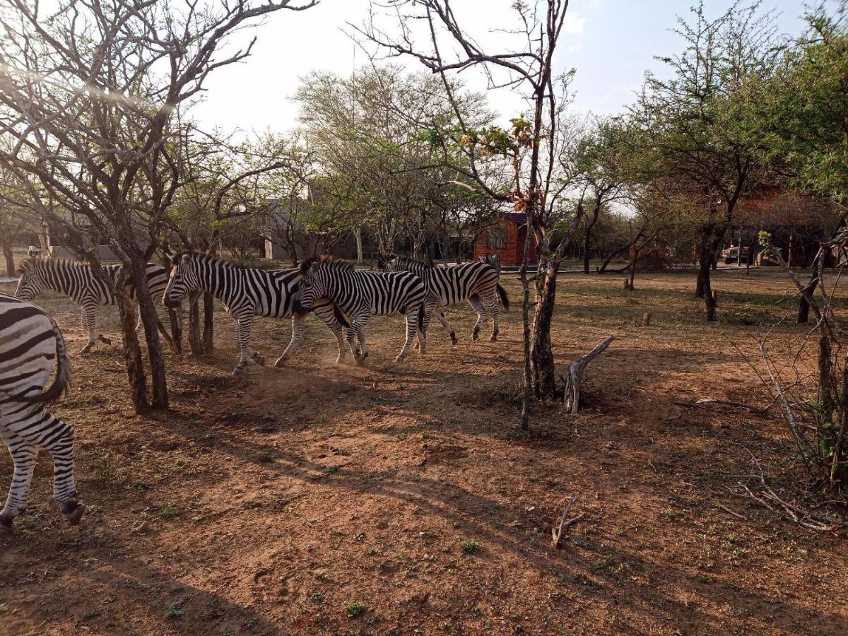Apartamento Marloth Kruger View Marloth Park Exterior foto
